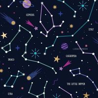 Ha Phuong Pham's Photo