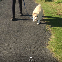 Le foto di Kimmy Turner