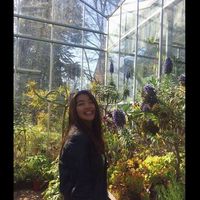 Jennifer Chan的照片