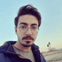 ali sherafat的照片