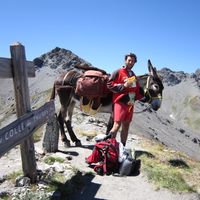 marco menegaldo's Photo