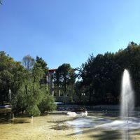 Fotos de Javi Truenu