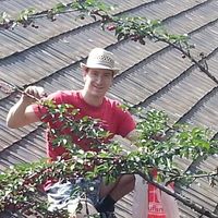 Fotos de Attila Simon