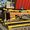 Wilson Chaves's Photo