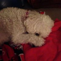 Steve Guarneri's Photo