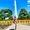 Estela Torrez's Photo