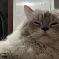 Fotos von Abdulah Smko