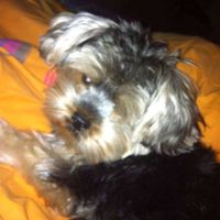 Yiolanda Stergidou's Photo