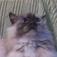 Michael Atanov的照片