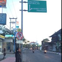 monica pakpahan的照片