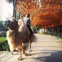 Angela Silva的照片