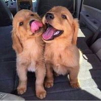 Osha Mohamed's Photo