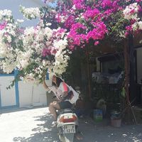 Saliha Demirkilic's Photo