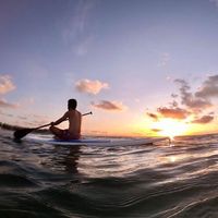 Jesus Sanchez的照片