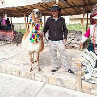 Leonardo Pugliese的照片