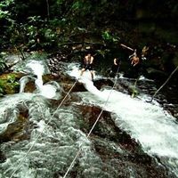 Fotos de Jhorman Capacho