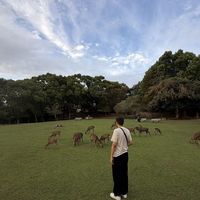 Dikshant Johar的照片