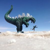 Melissa Arcaro's Photo