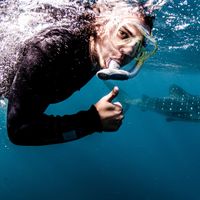 Fotos von Mark Sedrak