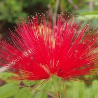 Fotos de Valérie George