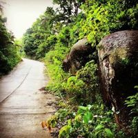 Mykayla myrick的照片