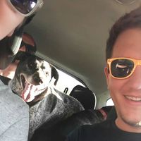 Robert McPhail's Photo