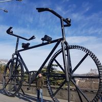 Mahmoud Mahmoud's Photo