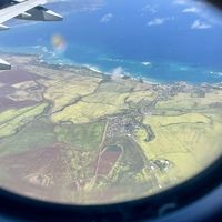 Kalani  Perso's Photo