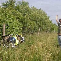 Photos de Niko O'Brien