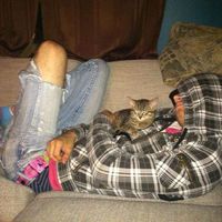 Kris Whitaker的照片