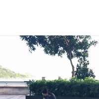 Kwing Yui Wong's Photo