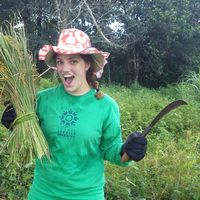 Fotos de Rachel Chisausky