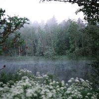 Elena Pilnaties的照片