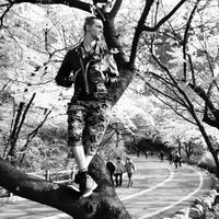 Le foto di kevin timmerman