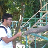 Le foto di Luis Fernando Perez Menese