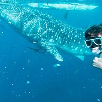 Abraham Smith的照片