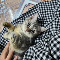 Nguyen Phuong Thu's Photo