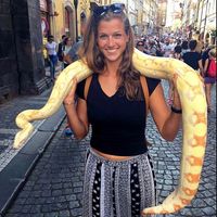 Dóri Fierer's Photo