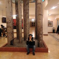 Mojtaba Zafari的照片