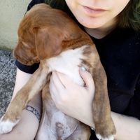 Elia Garcia的照片