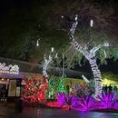 LV Invasion: 🍫 Ethel M's Holiday Cactus Garden's picture