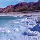 Dead Sea Salt Beach Hiking 's picture