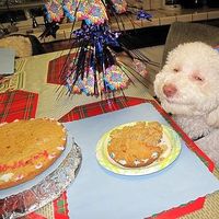 Steve Andrews's Photo