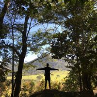 Fotos de Daniel Matsumoto