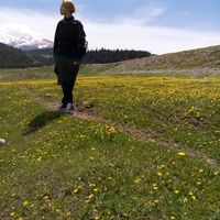 Crystal Lost的照片