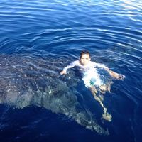 George Setyawan的照片