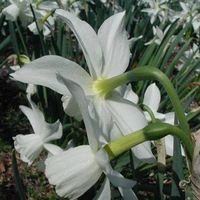 Hamide Ateşoğlu's Photo