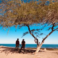 Photos de Aria Abtahi