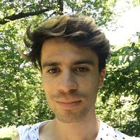 Le foto di Noah Field