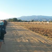 federica bau的照片